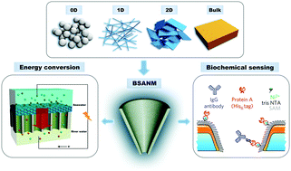 Graphical abstract: Bioinspired smart asymmetric nanochannel membranes