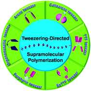 Graphical abstract: Donor–acceptor-type supramolecular polymers on the basis of preorganized molecular tweezers/guest complexation