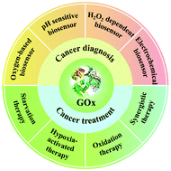 Graphical abstract: Catalytic chemistry of glucose oxidase in cancer diagnosis and treatment