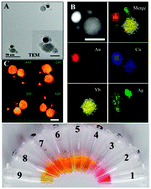 Graphical abstract: Environmentally responsive plasmonic nanoassemblies for biosensing