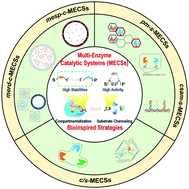Graphical abstract: Bioinspired construction of multi-enzyme catalytic systems