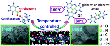 Graphical abstract: N/O-doped carbon as a “solid ligand” for nano-Pd catalyzed biphenyl- and triphenylamine syntheses
