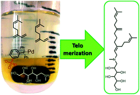 Graphical abstract: Non-ionic surfactants from renewables – amphiphilic ligands in biphasic reactions