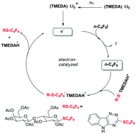 Graphical abstract: Electron-catalyzed radical perfluoroalkylation of organic sulfides: the serendipitous use of the TMEDA/I2 complex as a radical initiator