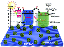 Graphical abstract: Construction of ultrafine TiO2 nanoparticle and SnNb2O6 nanosheet 0D/2D heterojunctions with abundant interfaces and significantly improved photocatalytic activity