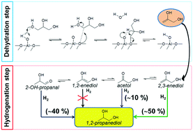 Graphical abstract: Significance of isomeric reaction intermediates in the hydrogenolysis of glycerol to 1,2-propanediol with Cu-based catalysts
