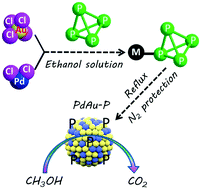 Graphical abstract: White phosphorus derived PdAu–P ternary alloy for efficient methanol electrooxidation