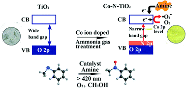 Graphical abstract: Amine coupled ordered mesoporous (Co–N) co-doped TiO2: a green photocatalyst for the selective aerobic oxidation of thioether