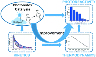 Graphical abstract: A comprehensive mechanistic study on the visible-light photocatalytic reductive dehalogenation of haloaromatics mediated by Ru(bpy)3Cl2