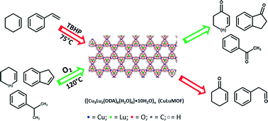 Graphical abstract: {[Cu3Lu2(ODA)6(H2O)6]·10H2O}n: the first heterometallic framework based on copper(ii)/lutetium(iii) for the catalytic oxidation of olefins and aromatic benzylic substrates