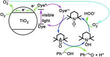 Graphical abstract: Merging visible light photocatalysis of dye-sensitized TiO2 with TEMPO: the selective aerobic oxidation of alcohols