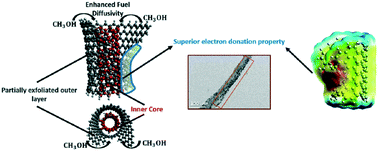 Graphical abstract: An efficient and durable novel catalyst support with superior electron-donating properties and fuel diffusivity for a direct methanol fuel cell