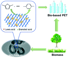 Graphical abstract: Production of p-xylene from bio-based 2,5-dimethylfuran over high performance catalyst WO3/SBA-15