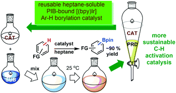 Graphical abstract: Highly active, separable and recyclable bipyridine iridium catalysts for C–H borylation reactions