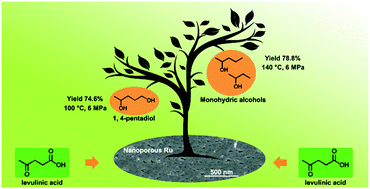 Graphical abstract: Catalytic conversion of biomass-derived levulinic acid into alcohols over nanoporous Ru catalyst