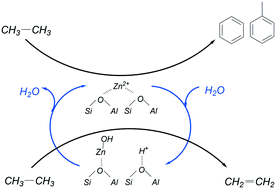 Graphical abstract: Effect of steam and CO2 on ethane activation over Zn-ZSM-5