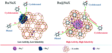 Graphical abstract: 3D charged grid induces a high performance catalyst: ruthenium clusters enclosed in X-zeolite for hydrogenation of phenol to cyclohexanone