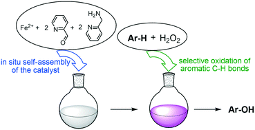 Graphical abstract: Direct hydroxylation of benzene and aromatics with H2O2 catalyzed by a self-assembled iron complex: evidence for a metal-based mechanism