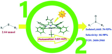Graphical abstract: Simple low cost porphyrinic photosensitizers for large scale chemoselective oxidation of sulfides to sulfoxides under green conditions: targeted protonation of porphyrins