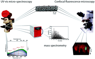 Graphical abstract: Operando micro-spectroscopy on ZSM-5 containing extrudates during the oligomerization of 1-hexene