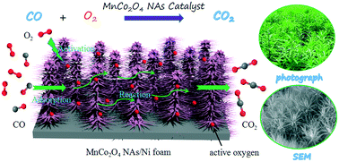 Graphical abstract: Low-temperature CO oxidation over integrated penthorum chinense-like MnCo2O4 arrays anchored on three-dimensional Ni foam with enhanced moisture resistance