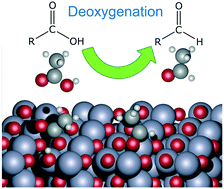 Graphical abstract: The role of oxygen vacancies in biomass deoxygenation by reducible zinc/zinc oxide catalysts
