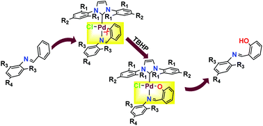 Graphical abstract: Synthesis of (NHC)Pd(salicylaldimine)Cl complexes through template-directed ortho-aromatic metaloxylation of NHC–palladacycles derived from arylimines