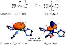 Graphical abstract: Computation provides chemical insight into the diverse hydride NMR chemical shifts of [Ru(NHC)4(L)H]0/+ species (NHC = N-heterocyclic carbene; L = vacant, H2, N2, CO, MeCN, O2, P4, SO2, H−, F− and Cl−) and their [Ru(R2PCH2CH2PR2)2(L)H]+ congeners