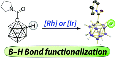 Graphical abstract: B–H functionalization of the monocarba-closo-dodecaborate anion by rhodium and iridium catalysis
