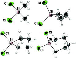 Graphical abstract: Molecular structures of various alkyldichlorosilanes in the solid state