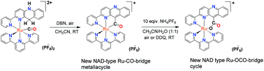 Graphical abstract: Base assisted C–C coupling between carbonyl and polypyridyl ligands in a Ru-NADH-type carbonyl complex