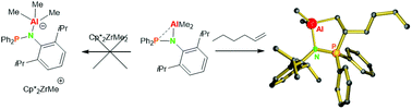 Graphical abstract: “Masked” Lewis-acidity of an aluminum α-phosphinoamide complex