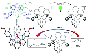 Graphical abstract: Characterization and photocatalytic behavior of 2,9-di(aryl)-1,10-phenanthroline copper(i) complexes