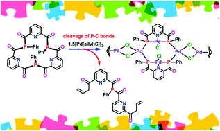 Graphical abstract: First examples of tri- and tetraphosphametacyclophanes: synthesis and isolation of an unusual hexapalladium complex containing pincer units with Pd–P covalent bonds