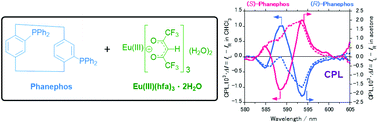 Graphical abstract: Complexes of Eu(iii)(hfa)3 with a planar chiral P(iii) ligand (Phanephos): solvent-sensitive sign inversion of circularly polarised luminescence