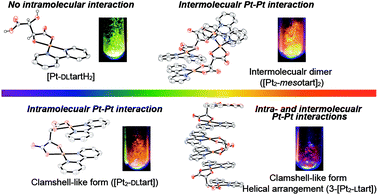 Graphical abstract: Luminescence of tartrate bridged dinuclear 2,2′-bipyridine platinum(ii) complexes: emission color controlled by intra- and inter-molecular interactions in the solid state