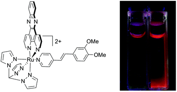 Graphical abstract: A ratiometric sensor for DNA based on a dual emission Ru(dppz) light-switch complex
