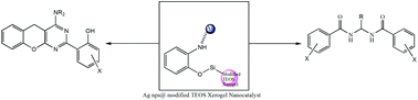 Graphical abstract: A nano silver-xerogel (Ag nps@modified TEOS) as a newly developed nanocatalyst in the synthesis of benzopyranopyrimidines (with secondary and primary amines) and gem-bisamides