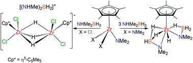 Graphical abstract: Isolable zirconium hydride species in the reaction of amido complexes with amine–boranes