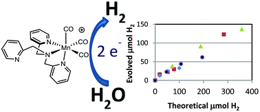 Graphical abstract: Electrocatalytic generation of H2 from neutral water in acetonitrile using manganese polypyridyl complexes with ligand assistance