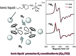 Graphical abstract: Ionic liquid promotes N2 coordination to titanocene(iii) monochloride