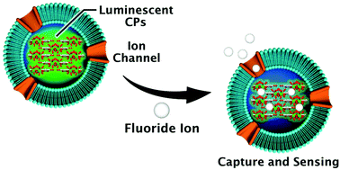 Graphical abstract: Sensing of fluoride ions in aqueous media using a luminescent coordination polymer and liposome composite