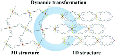 Graphical abstract: Liquid/vapor-induced reversible dynamic structural transformation of a three-dimensional Cu-based MOF to a one-dimensional MOF showing gate adsorption
