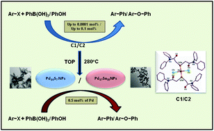 Graphical abstract: Palladium(ii) complexes of N,N-diphenylacetamide based thio/selenoethers and flower shaped Pd16S7 and prismatic Pd17Se15 nano-particles tailored as catalysts for C–C and C–O coupling