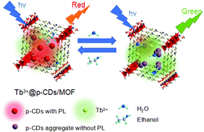 Graphical abstract: A dual-emission probe to detect moisture and water in organic solvents based on green-Tb3+ post-coordinated metal–organic frameworks with red carbon dots