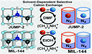 Graphical abstract: Solvent-dependent selective cation exchange in anionic frameworks based on cobalt(ii) and triphenylamine linkers: reactor-dependent synthesis and sorption properties