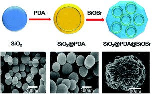Graphical abstract: Hierarchical core–shell SiO2@PDA@BiOBr microspheres with enhanced visible-light-driven photocatalytic performance
