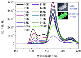 Graphical abstract: Intense greenish phosphorescence emission under ambient conditions in a two-dimensional lead(ii) coordination polymer with a 1,1′-ethynebenzene-3,3′,5,5′-tetracarboxylate ligand