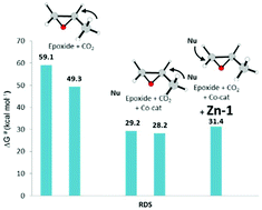 Graphical abstract: The ability of a zinc pyrrolidine complex to catalyze the synthesis of cyclic carbonates from carbon dioxide and epoxides: a mechanistic theoretical investigation