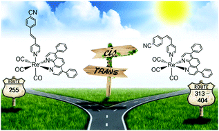 Graphical abstract: Reversible trans ⇌ cis photoisomerizations of [Re(CO)3(ph2phen)(stpyCN)]+ towards molecular machines